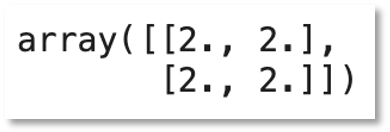 python output showing a 2 by 2 matrix containing 2 in each cell